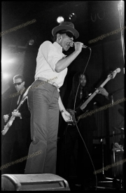 Selecter