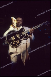 bb_king_01_3