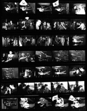 fl00286_contact_2_tone_belle_stars_selecter