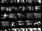 fl00286_contact_2_tone_belle_stars_selecter