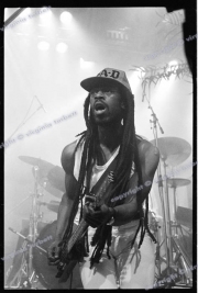 Big Audio Dynamite Leo Williams
