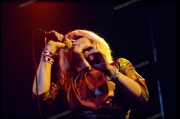 blondie_01_25