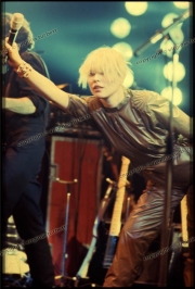 blondie_01_6