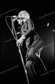 fl0224_fr41_Blondie