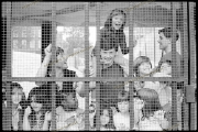 fl1225_fr10_05_07_1982_China_Crisis_Liverpool_ima