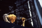 David Bowie