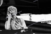 David Bowie