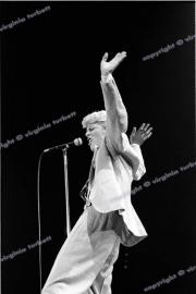 David Bowie