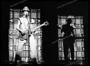 1 Devo_from_print.tif