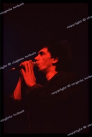 dexys_01_5
