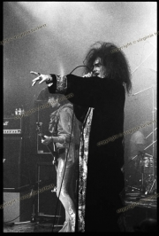 Doctor and the Medics