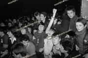 Fans.   Punks.  Audience.