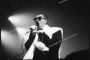 fl1747_fr04_frankie_hollywood_from_contact