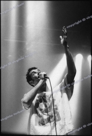 fl1747_fr21_frankie_hollywood_from_contact