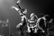 0290b_fr29_iggy_washed_14_02_80_5400dpi_