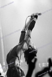 Iggy Pop live, London 1980