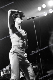 Iggy Pop, Friars, Aylesbury, 1980