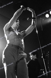 Iggy Pop, Friars, Aylesbury, 1980