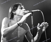 Iggy Pop, Friars, Aylesbury, 1980