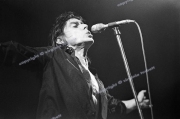 Iggy Pop, Friars, Aylesbury, 1980
