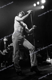 Iggy Pop, Friars, Aylesbury, 1980