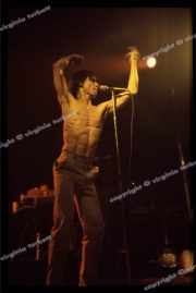 iggy_003