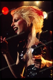 Missing Persons - Dale Bozzio