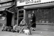 Cats on Bicycles - A sight for sore eyes.  New York. 1981.