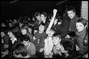 Fans.   Punks.  Audience.
