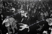 Punks.  dancing.  fighting