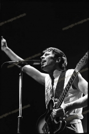 Rainbow, 6/11/80