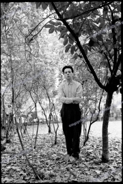 fl0714_fr07a_Simple_Minds_27_10_81