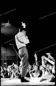 fl1309_fr_19_simple_minds_19_11_82_Barrowlands_glasgow_ima