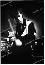 fl0569_fr24_15_08_80_Stray_Cats_Sllim_Jim_print