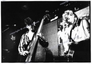 fl0570_fr24_Stray_cats_15_08_80_print