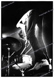 fl0746_fr_33_stray_cats_24_11_80_print