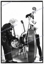 fl0747_fr02_Stray_Cats_24_11_80_print