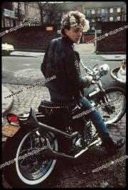 stray_cats_01_1.re_