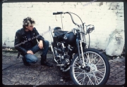 stray_cats_01_4.re