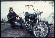 stray_cats_01_5.re