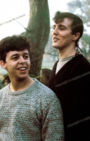 Tears for Fears