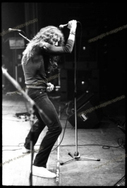 fl0445_fr25_Whitesnake_con