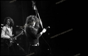 fl0447_43a_Whitesnake_con