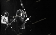fl0447_fr44a_Whitesnake_con