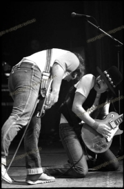 fl0448a_fr04_Whitesnake_con