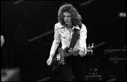 fl0448a_fr37a_Whitesnake_con